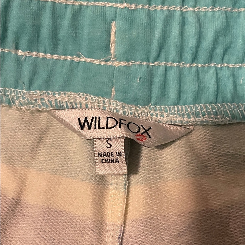 Wildfox Teal and Blue Striped Athletic Shorts (175) - Picture 2 of 4